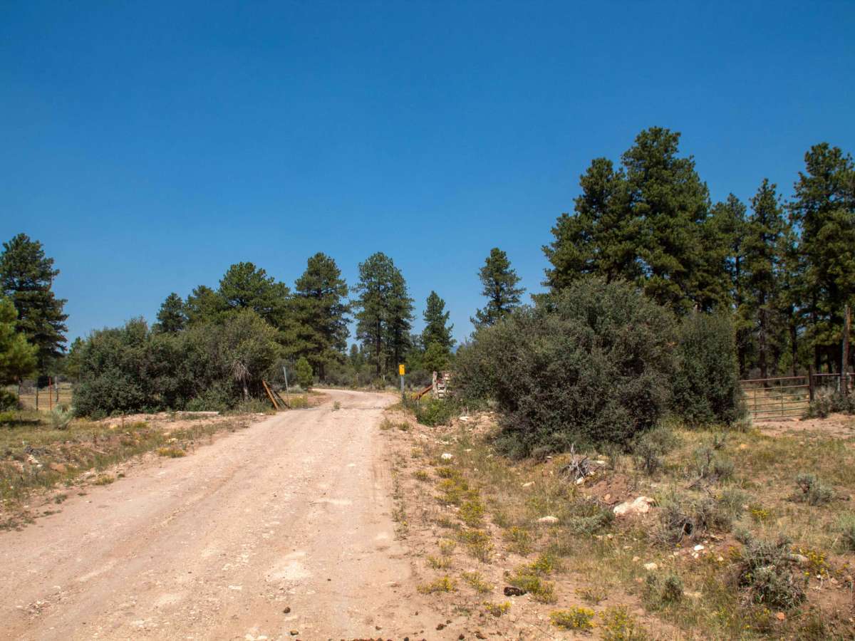 Burnt Mill Springs - FS 10232 photo 6