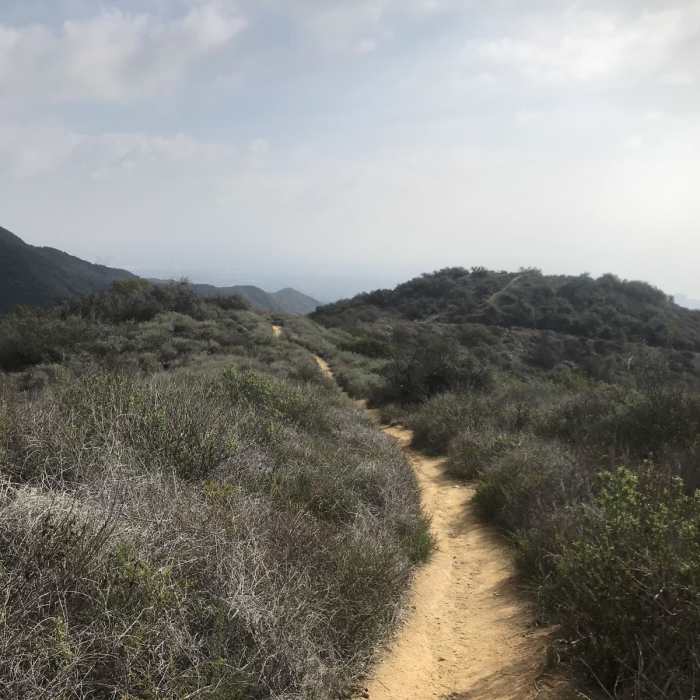 Near Temescal/Backbone Loop