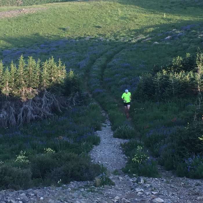 Near American Fork Twin Peaks from Silver Lake Flat