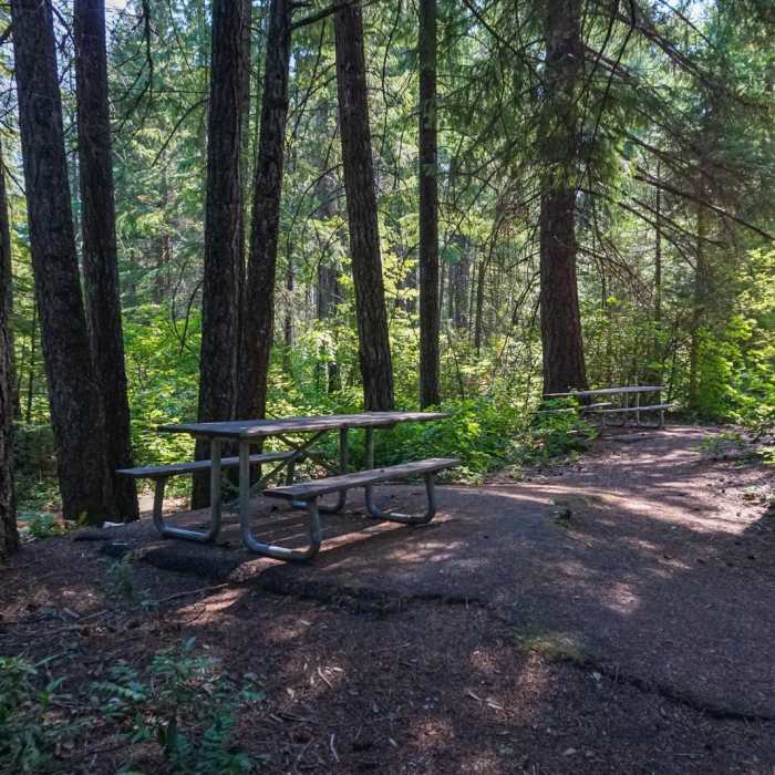 Near Pearsoney Falls Nature Trail