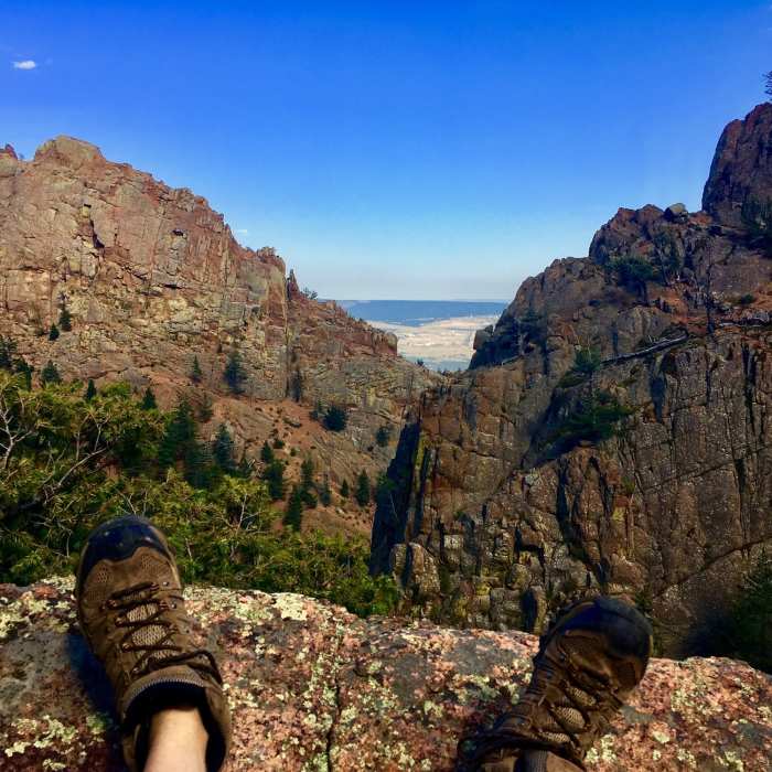 Near Stanley Canyon Trail #707