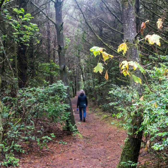 Near Cape Blanco Shore Trail