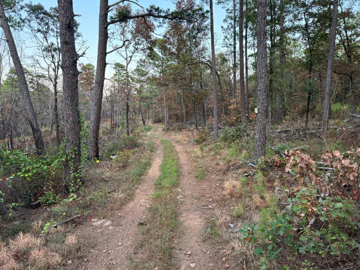 Calico Creek photo 3