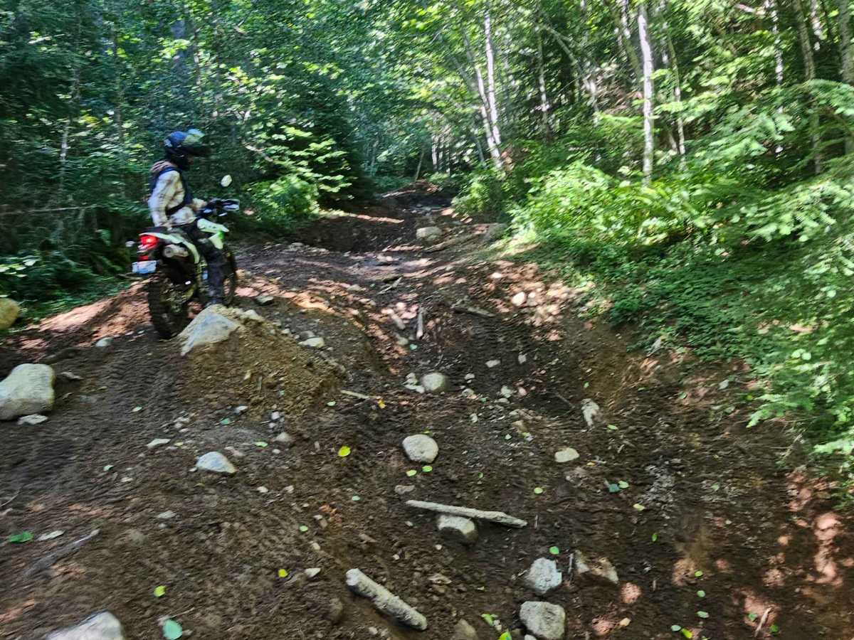 Swamp Trail photo 6