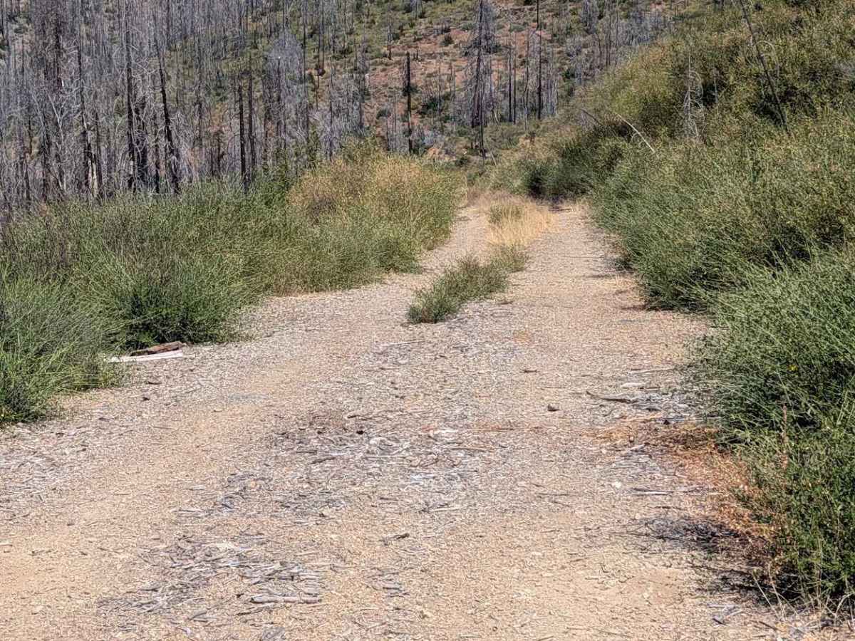 Smoky Road - FS 29N76 photo 3