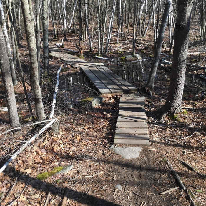 Wooden bridge Near Loop Trail