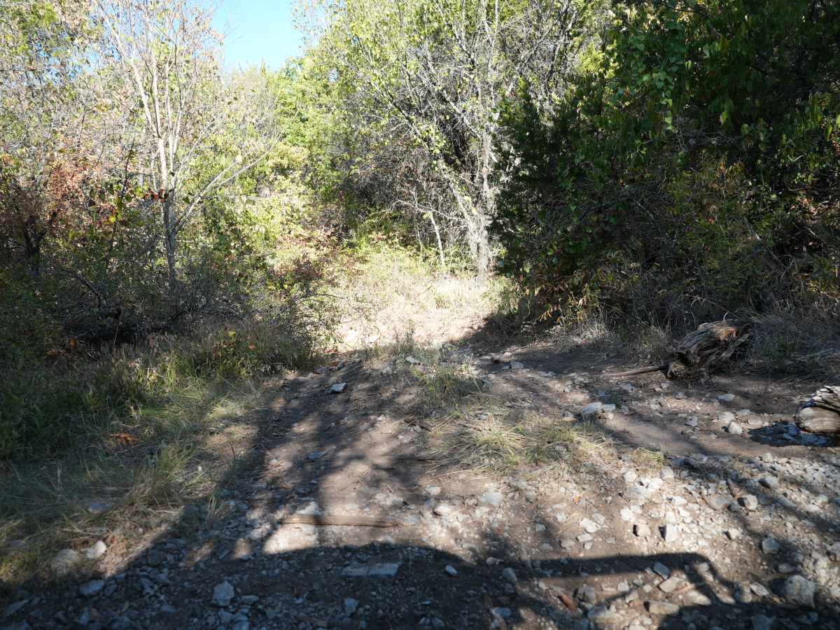 Blue 12 trail photo
