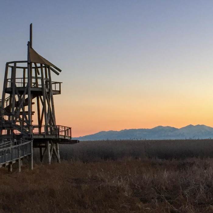 Near Great Salt Lake Shorelands Preserve Boardwalk