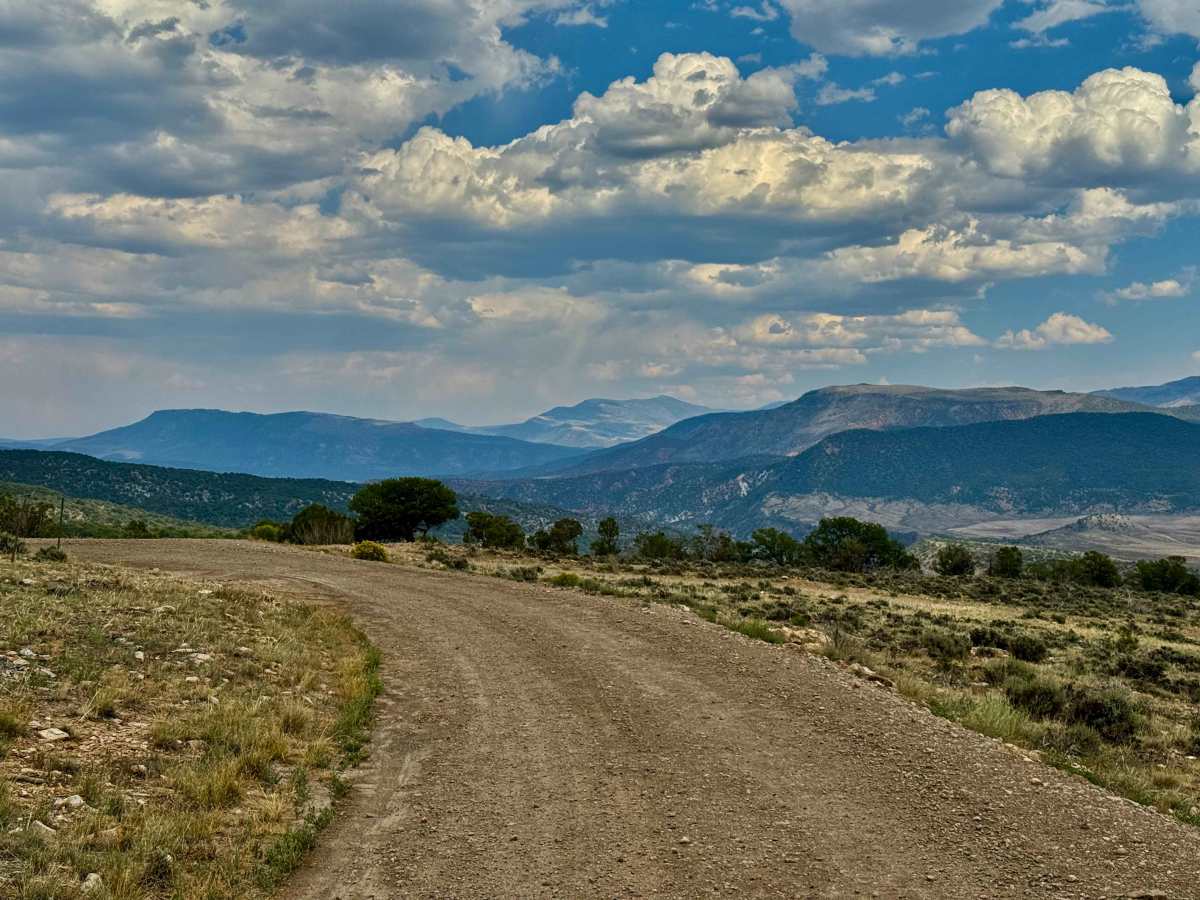 Luark Road trail photo