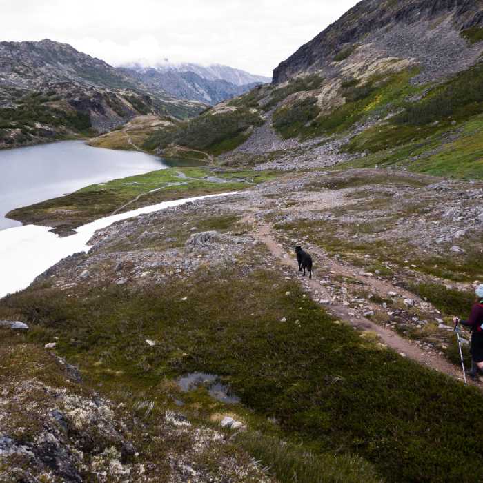 Hiking the Chilkoot Trail. Near The Chilkoot Trail