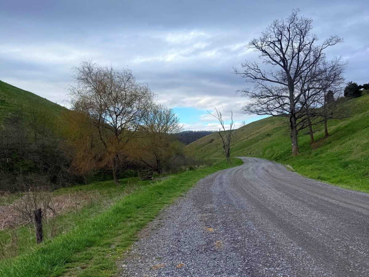 Clifton Farm Road  photo 6