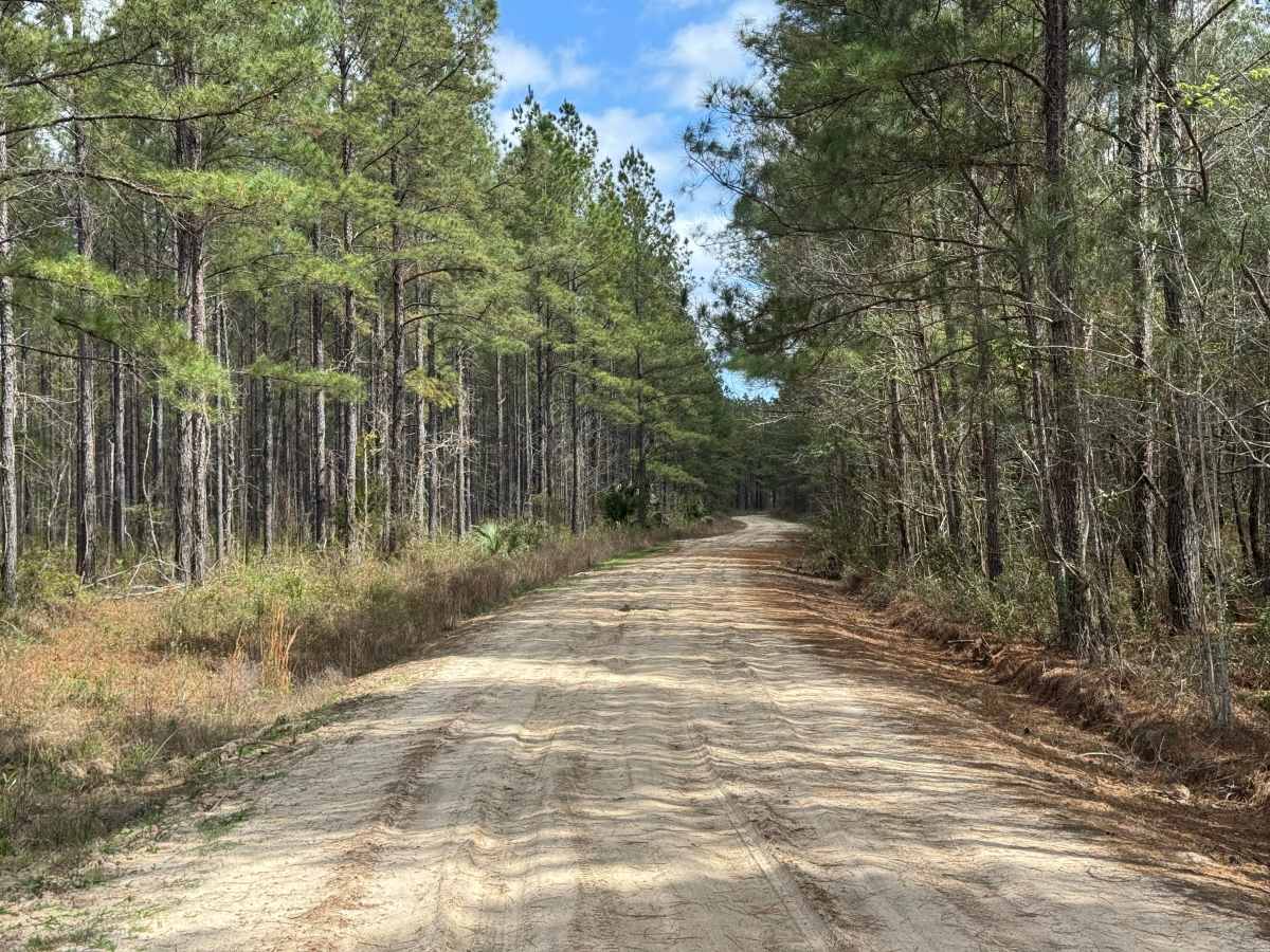 Gibson Island Road photo 2