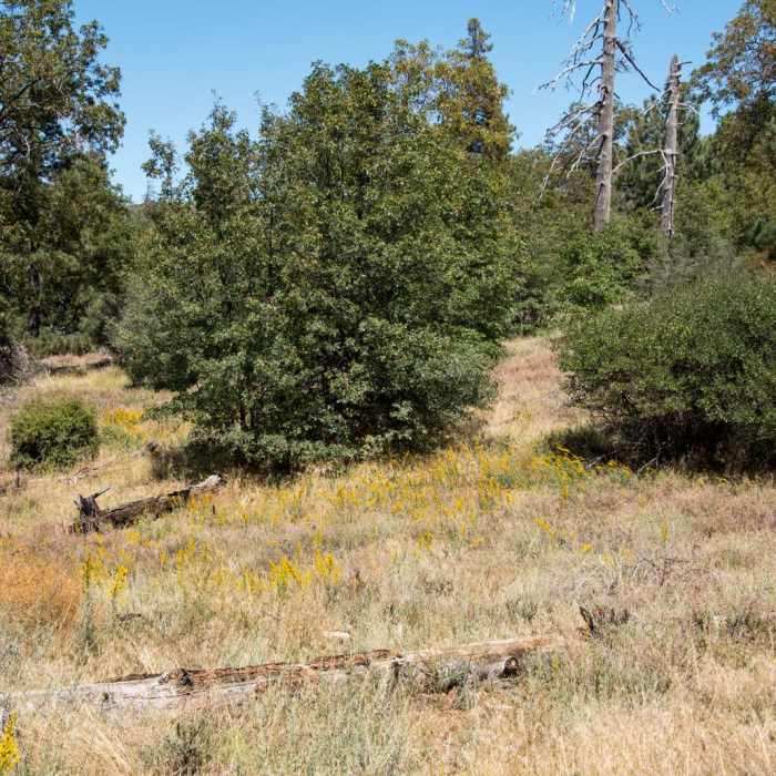 Near Monument Peak Hike