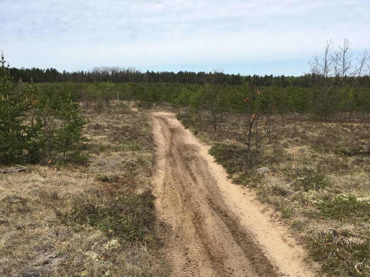 Atlanta Trail's - Center Loop photo 2