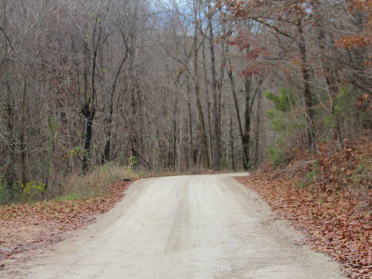 Leopold Road - BCR 402 photo 3