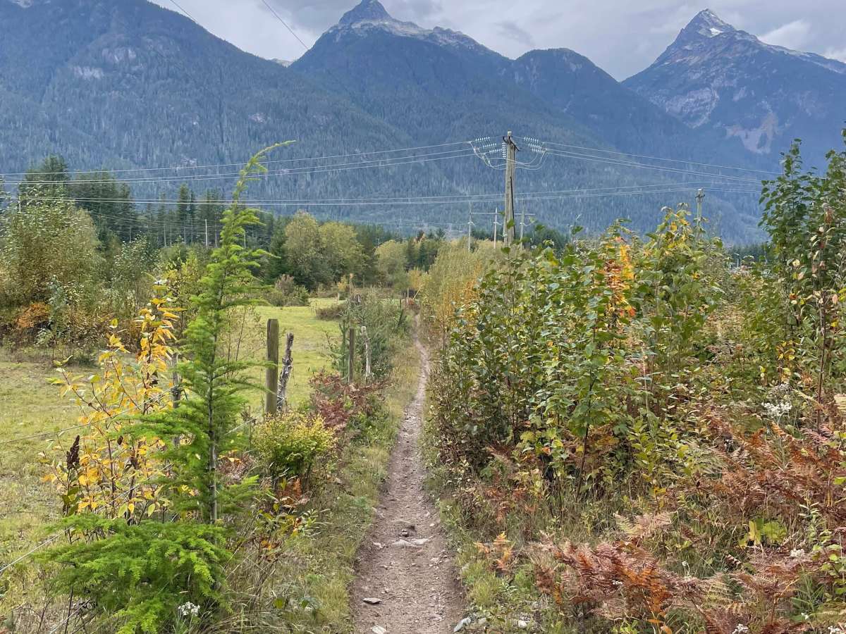 Fence Line trail photo