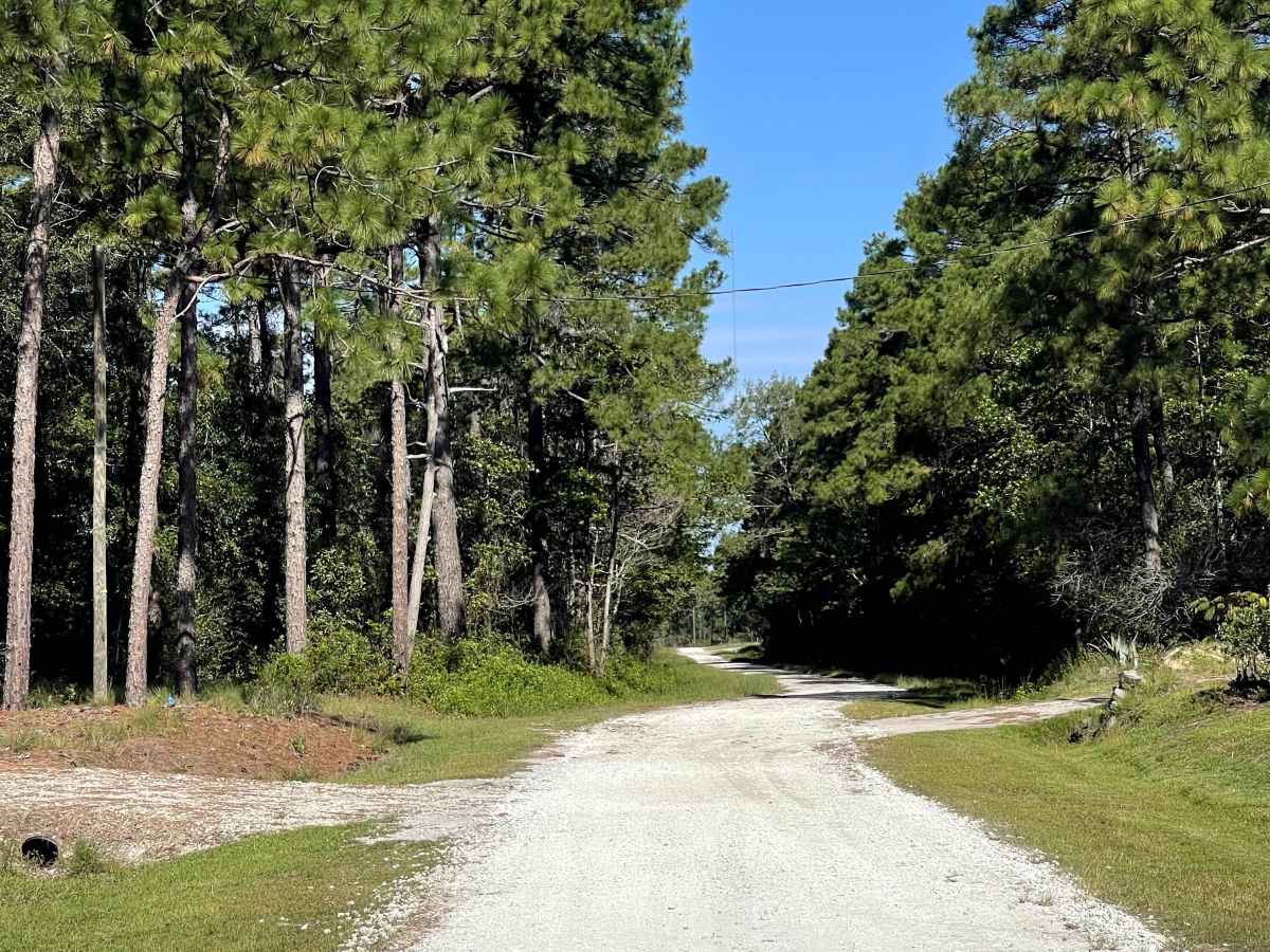 Bordeaux Lane trail photo