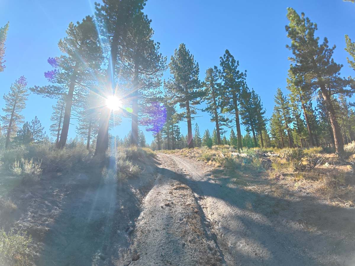FS 1S149 trail photo