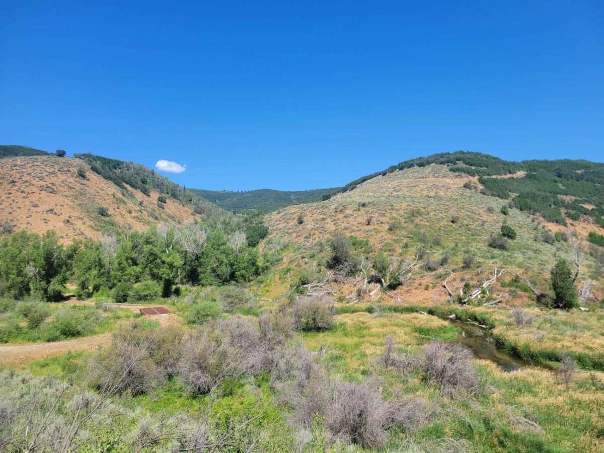 Jeremy Ranch Road photo 5
