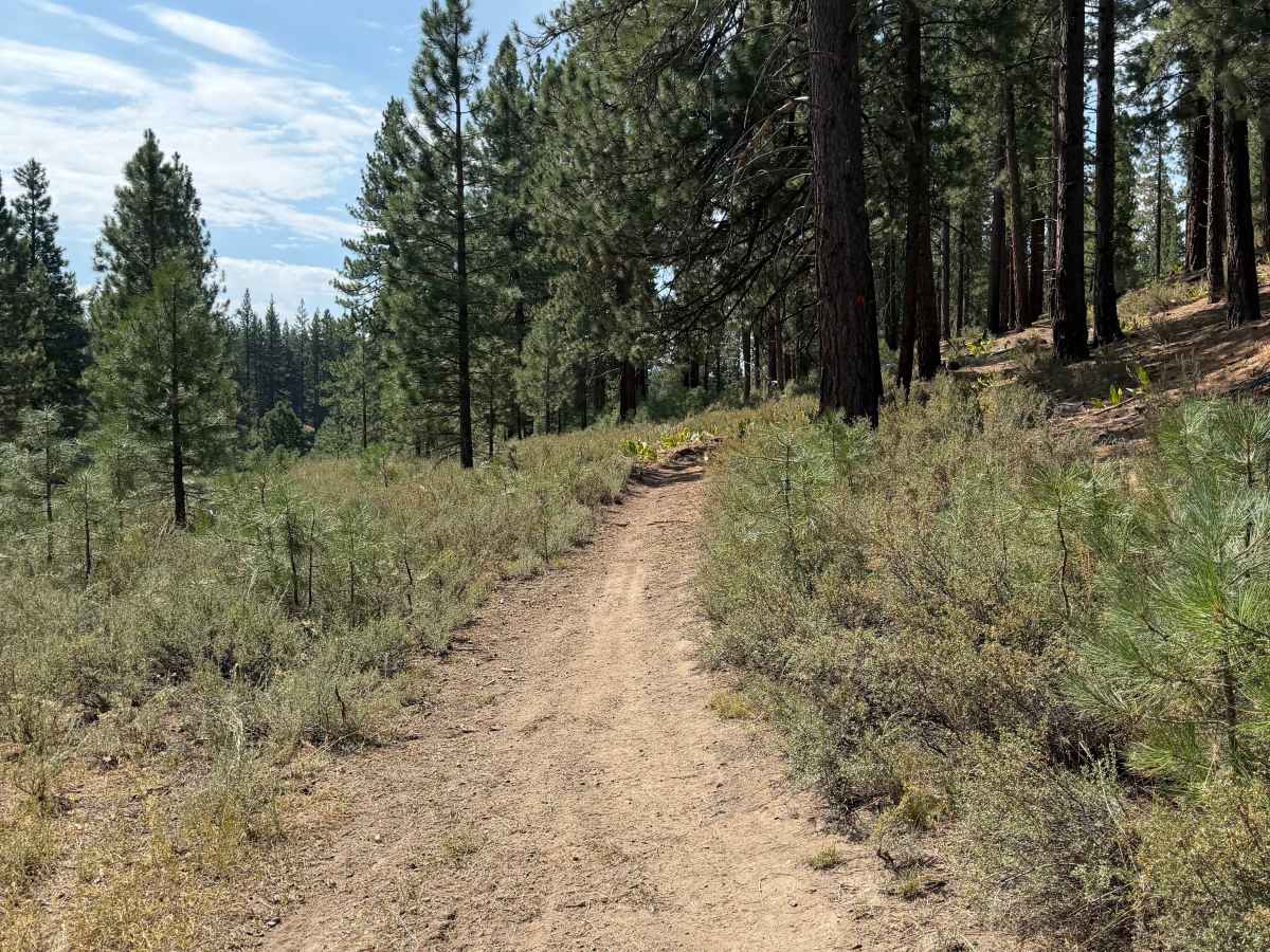 #38 trail photo