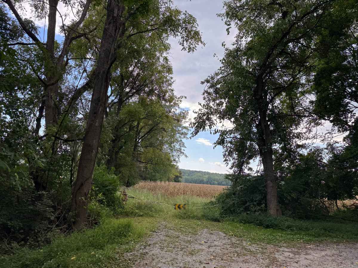 Caddo Access Road photo 5