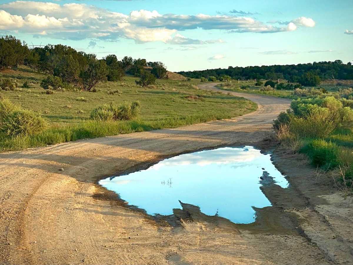Dead Dog Trail & Santa Fe Ranch photo 2
