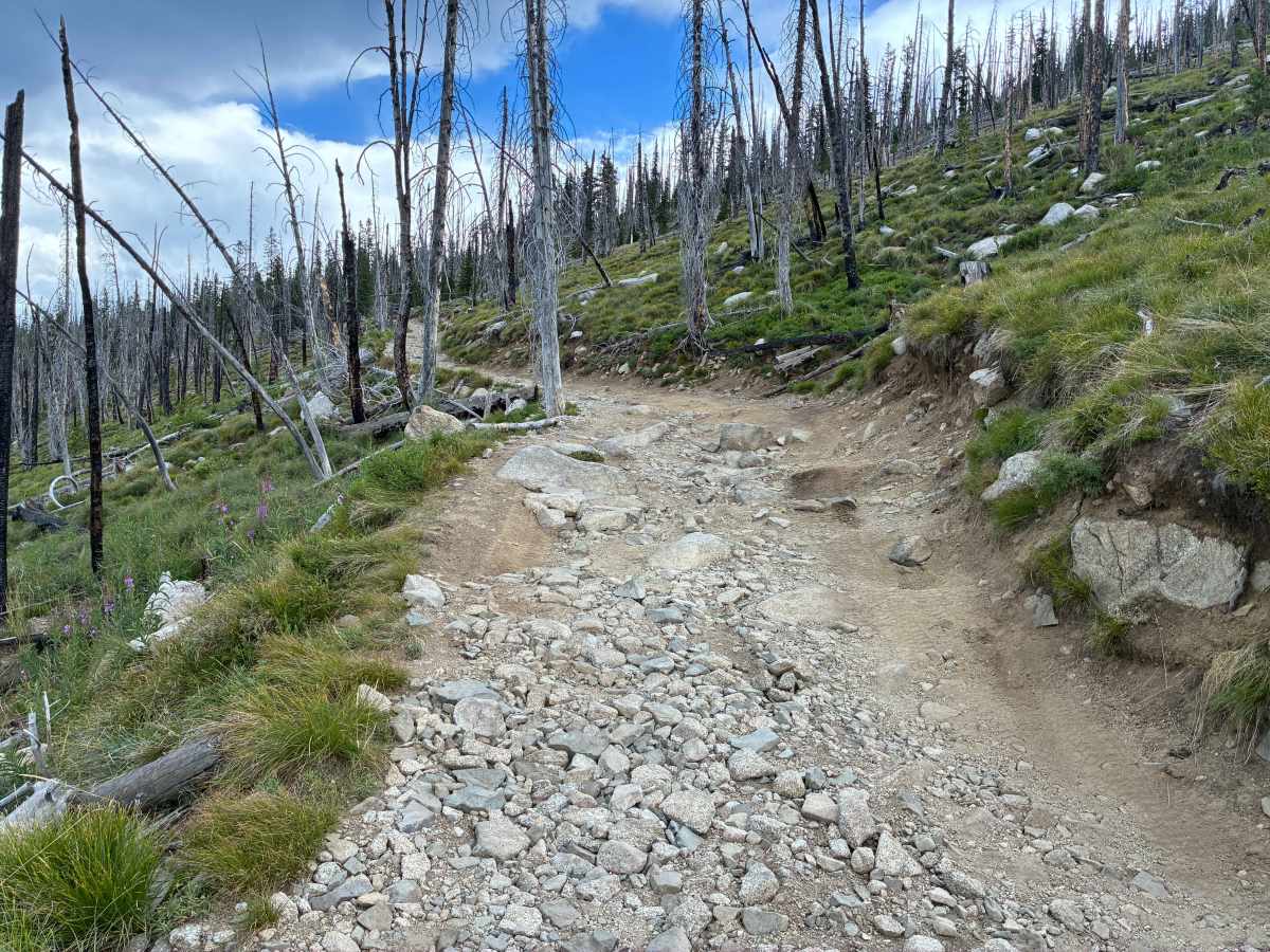 Burnt Knob photo 4