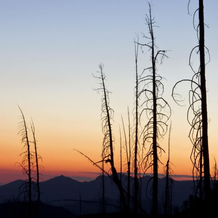 Near Pats Lake, Arrowhead Lake, + Queens River Divide