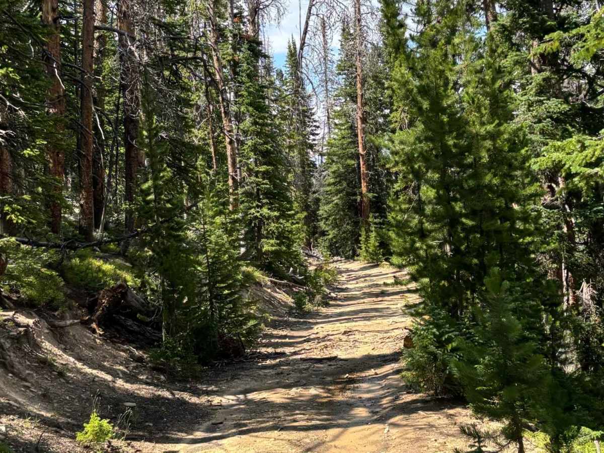 Hot Sulphur Spur Road photo 2