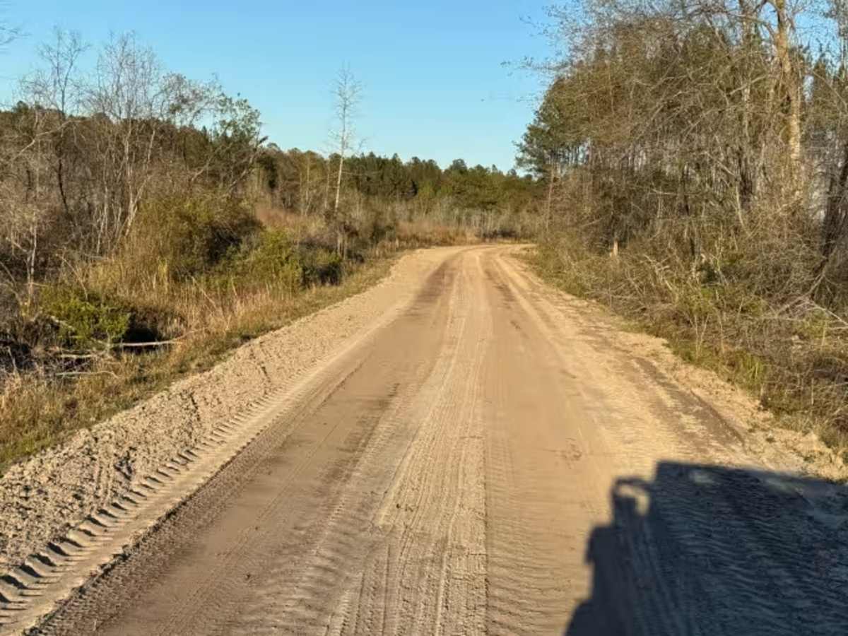 Sawgrass Road photo 4
