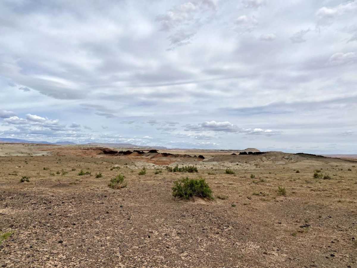 Willow Springs Wash to Lone Tree Crossing photo 2