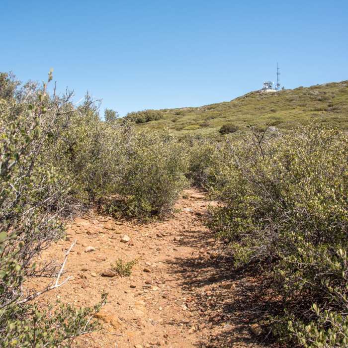 Near Monument Peak Hike