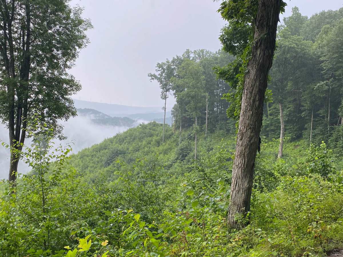 Hile Run Road photo 6