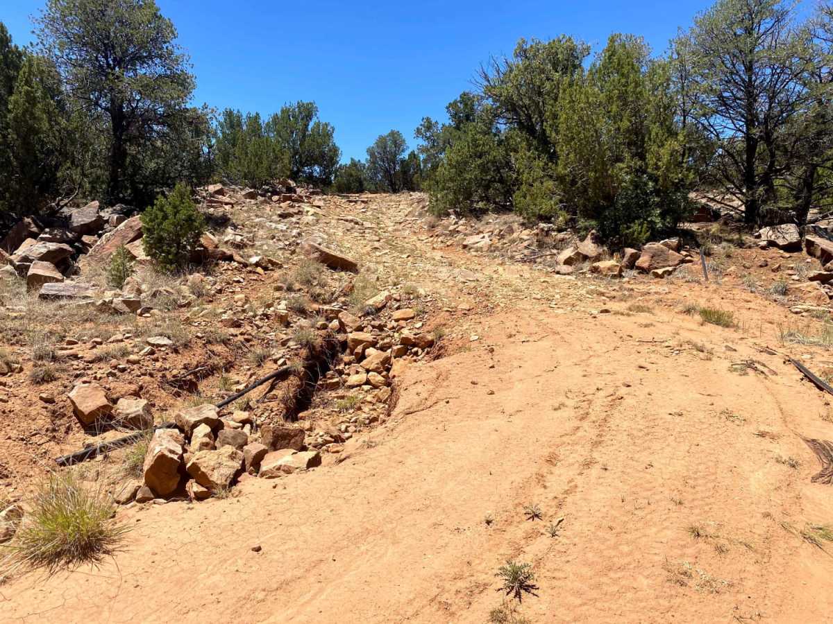 El Cerrito Area of Santa Fe National Forest photo 4
