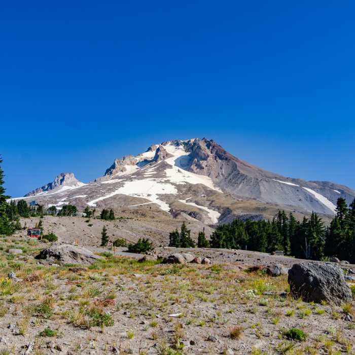 Near PCT: Timberline Lodge to Hwy 35 Out and Back