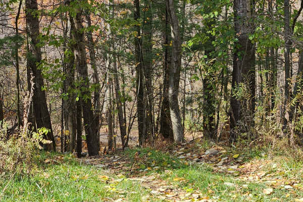 OHV 14 - Rock Run Recreation Area