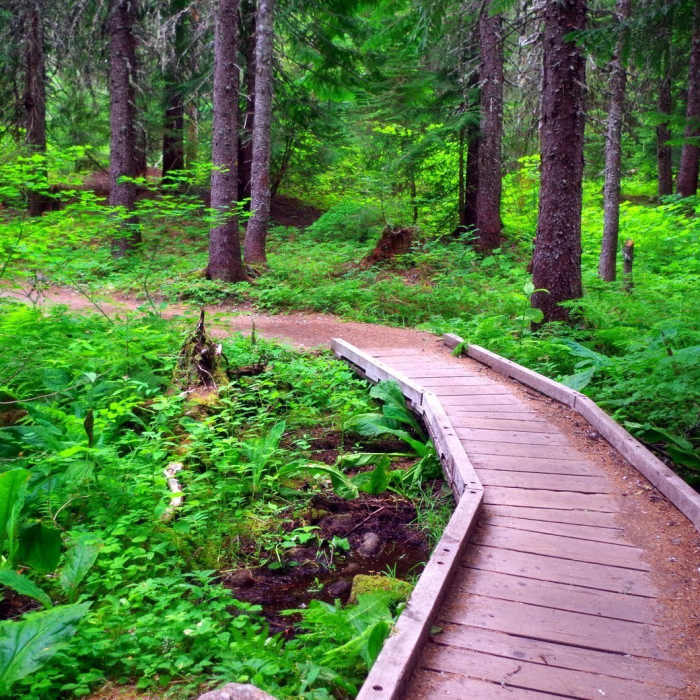 Near Trillium Bike Trail