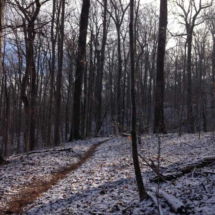 Near Cold Spring Cave