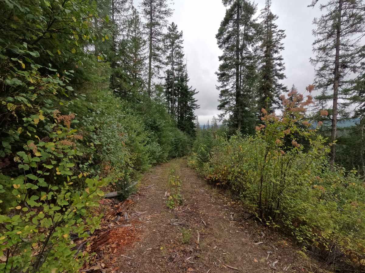 Goose Creek Point - FS 2730B photo 5