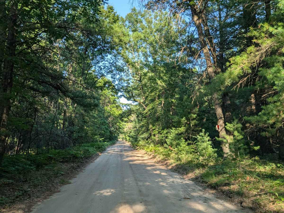 Michigan Road / Jose Road photo 4