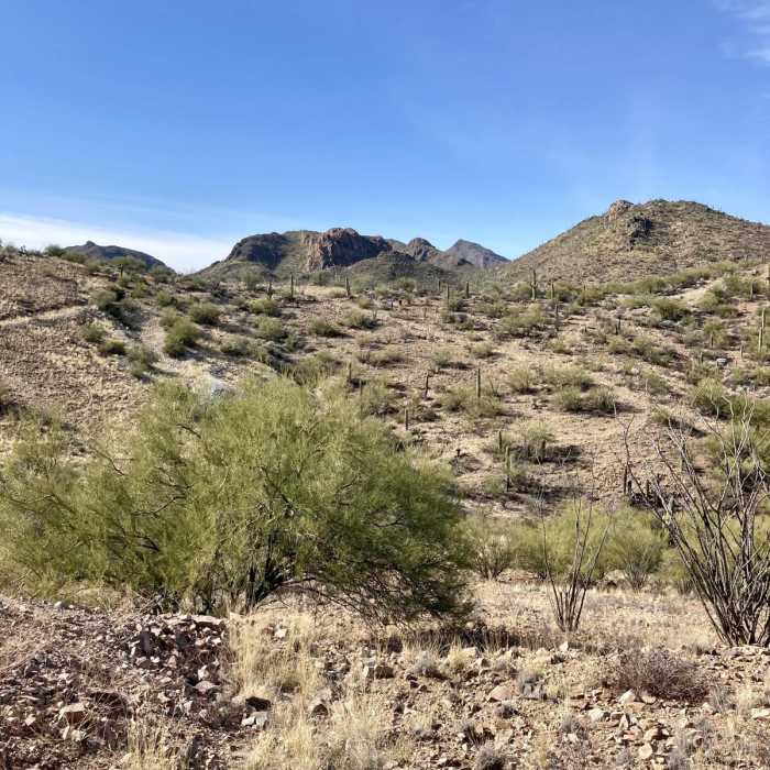 Near Rock Wren Trail