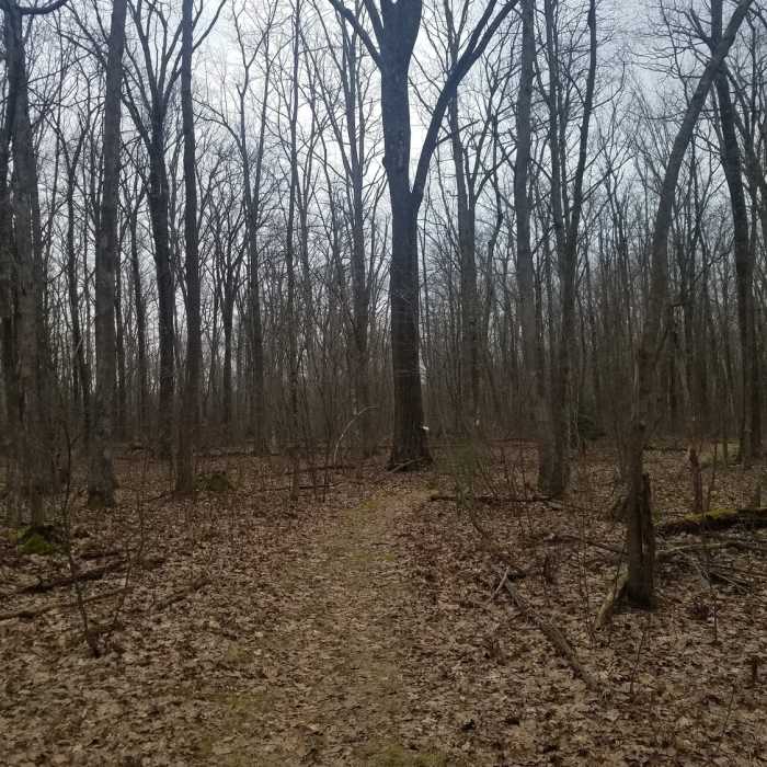 Near Hay Road Trail