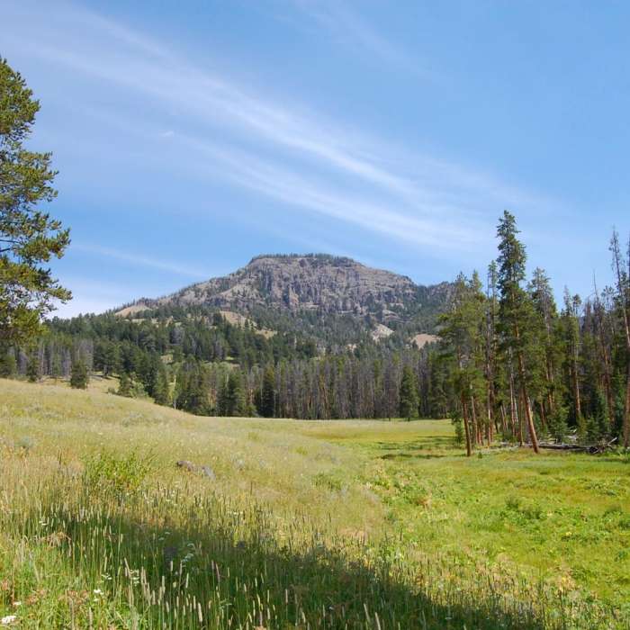 Near Big Horn Peak Near Big Horn Peak