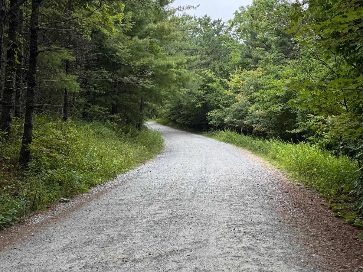Wiseman’s View Road - FS 458 photo 4
