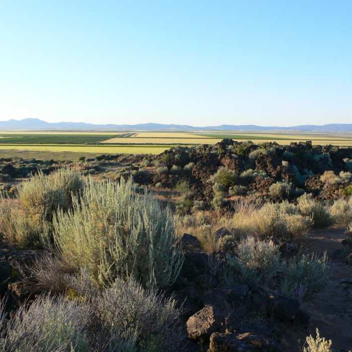 Near Captain Jacks Stronghold