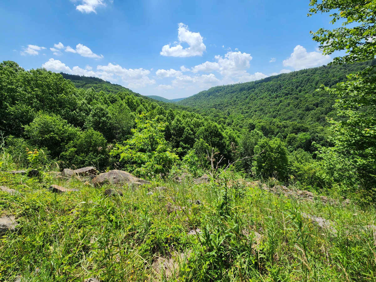 Boulder Field - Rock Run Recreation Area photo 3