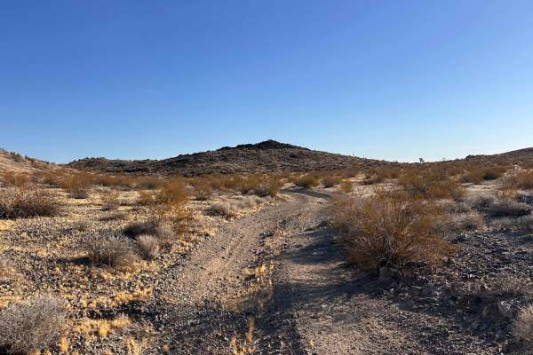 Wild Horse Trail