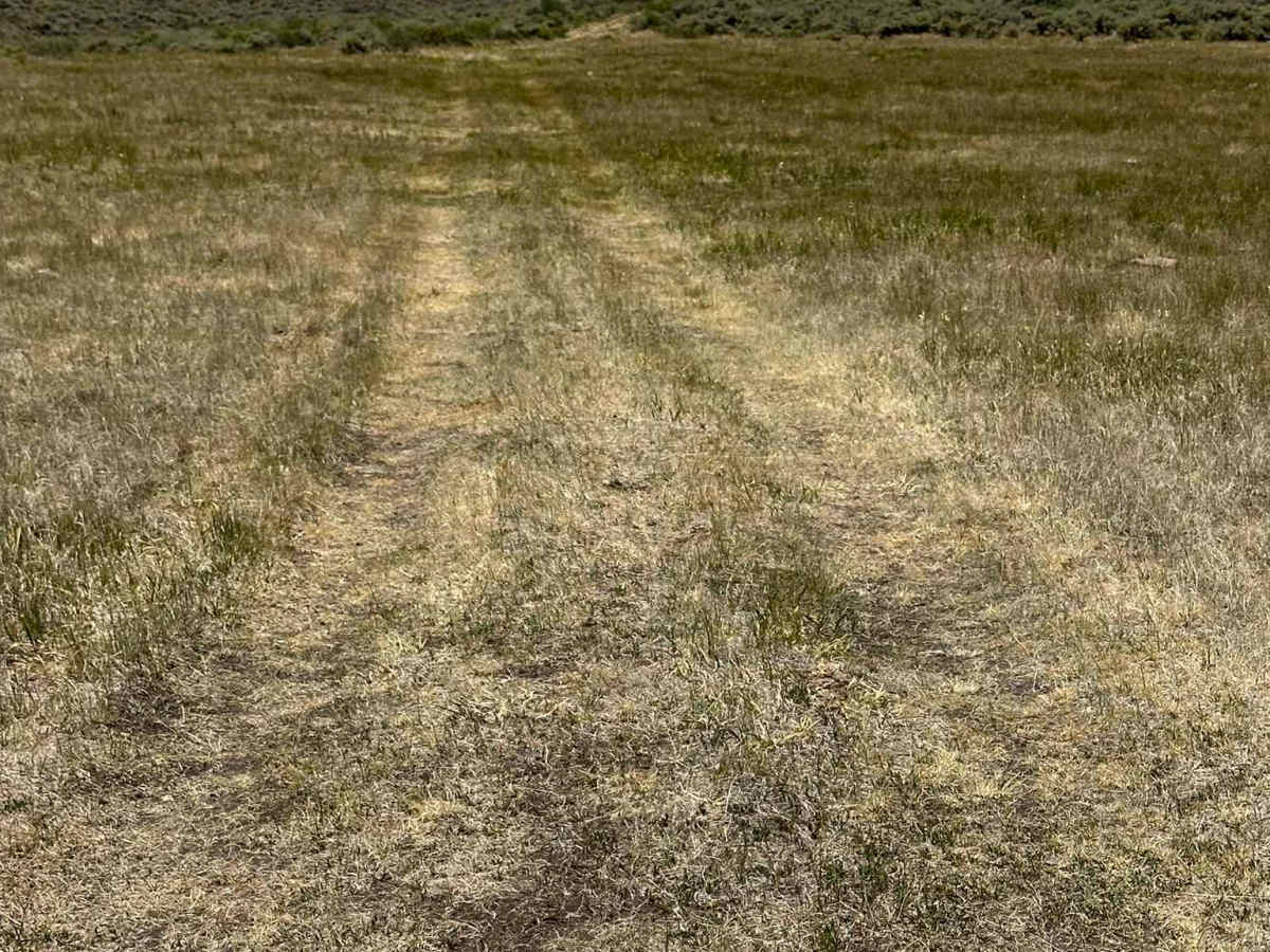 Jensen Creek Road photo 4