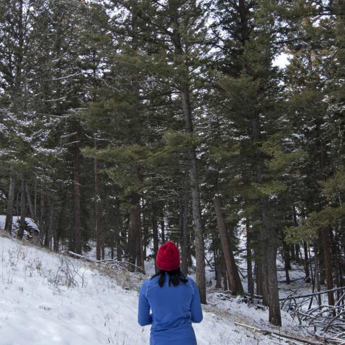 Near Beaver Ponds Loop