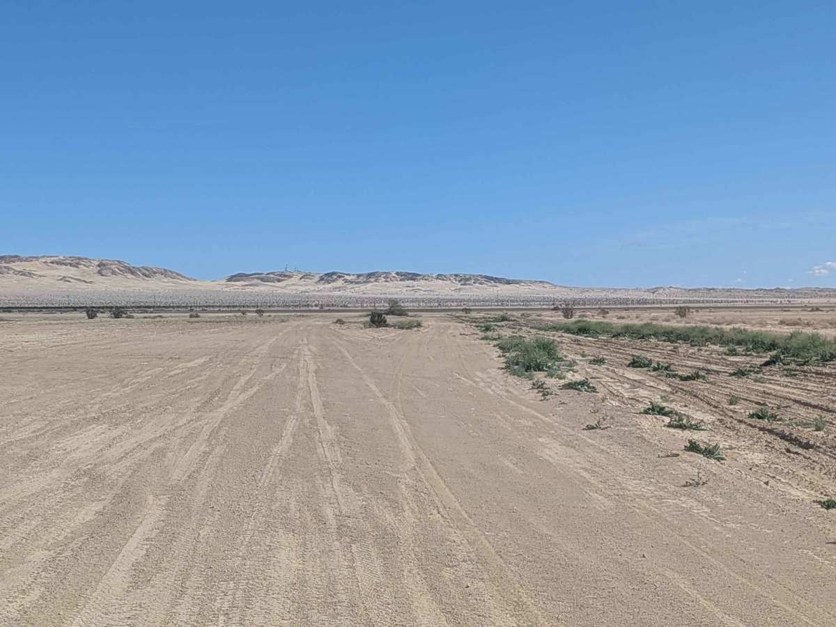 BLM 201 photo 6